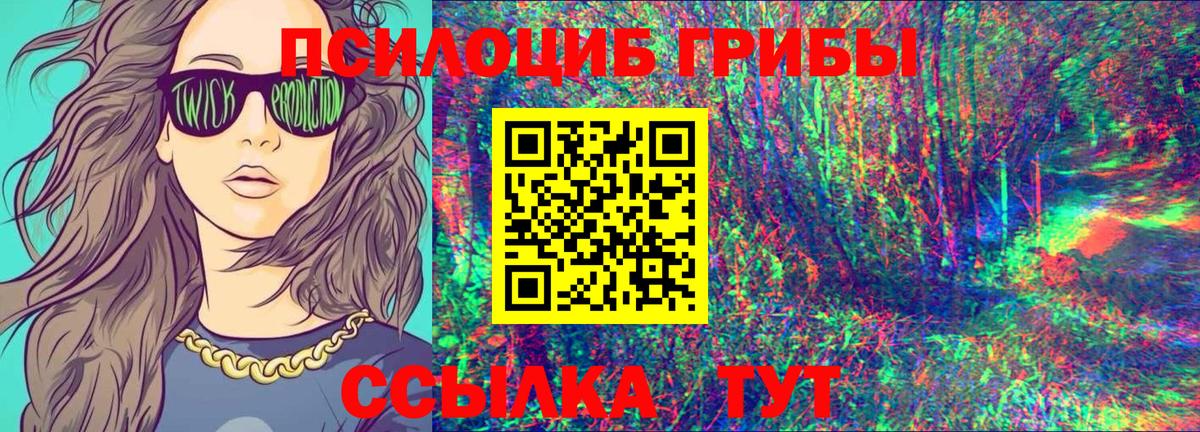 Псилоцибиновые грибы Psilocybe Самара